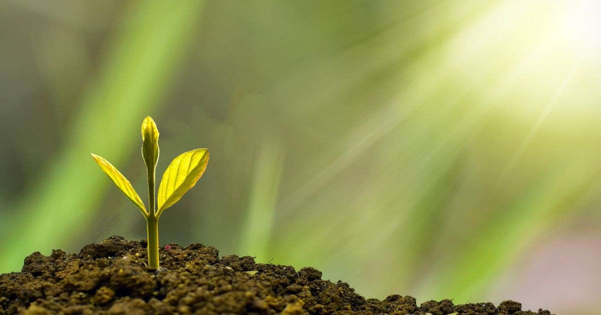 De bästa spartipsen för mars 2024